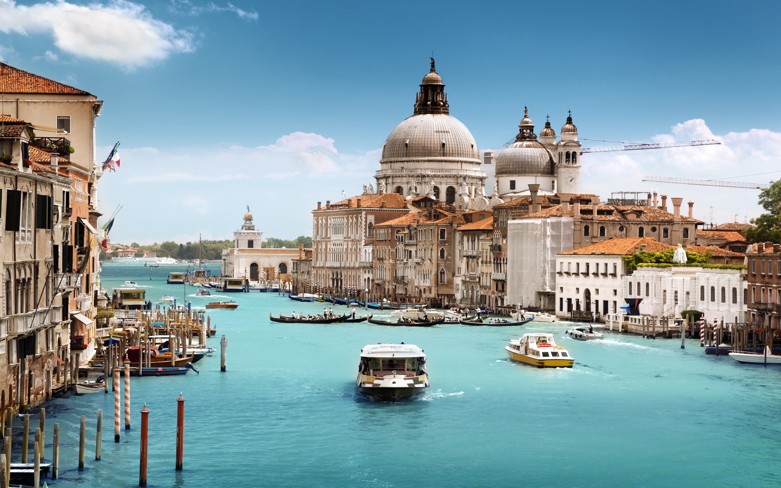 世界举重康复专家义诊周在多城开展，世界举重强国